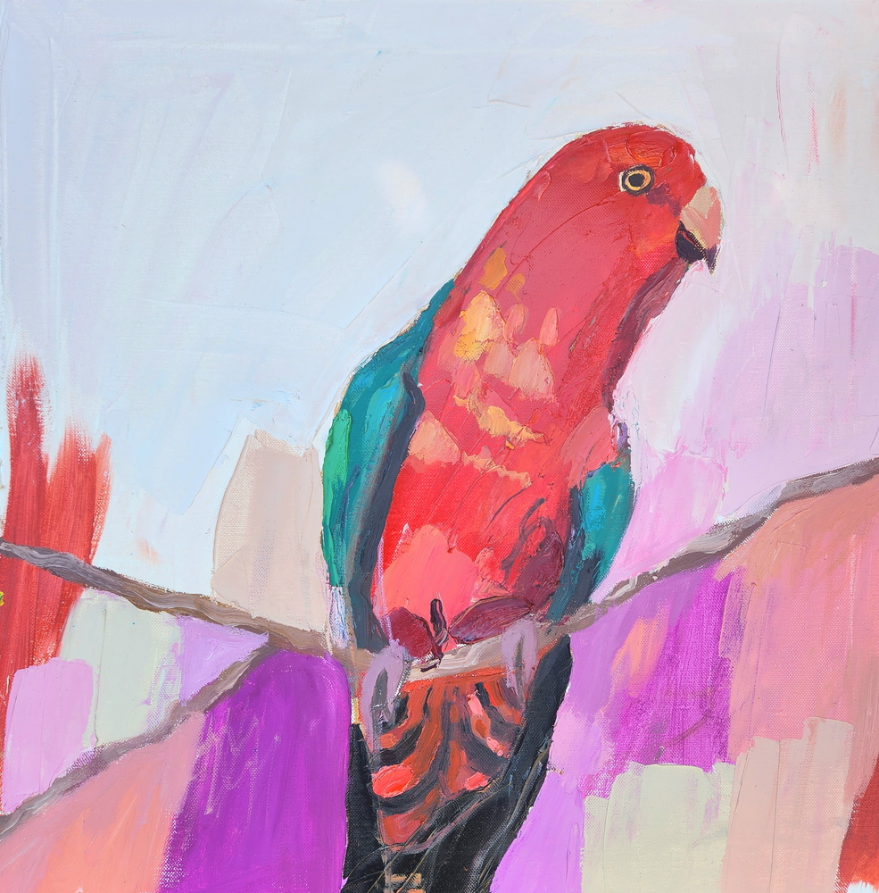 King Parrot 2